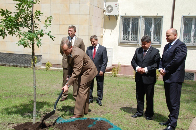 Jubileusz lasów