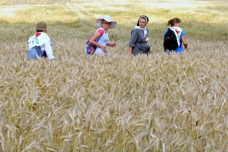 Do Rokitna - foto ks. R. Tomaszczuk