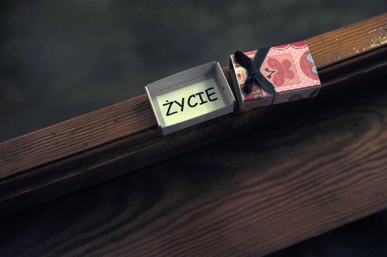 Do Rokitna - w obiektywie Radosława