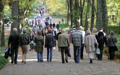 Chodzenie - lekiem na Alzheimera?