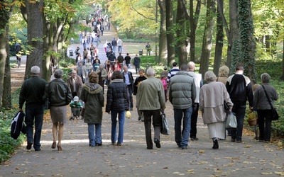 Chodzenie - lekiem na Alzheimera?