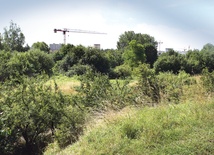 Miłośnicy tego zakątka Krakowa obawiają się, że dźwigi budowlane wkroczą także na tereny zielone