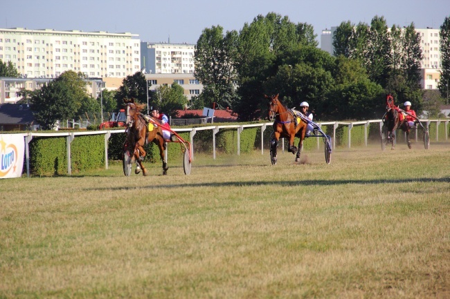 Wyścigi konne 2014