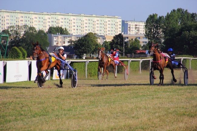 Wyścigi konne 2014