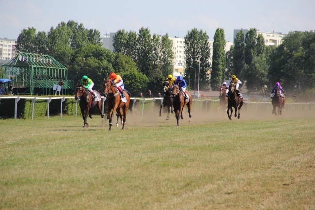 Wyścigi konne 2014