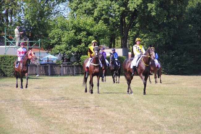 Wyścigi konne 2014