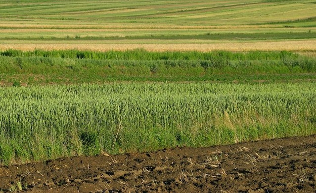 Naśladować cierpliwego Boga 