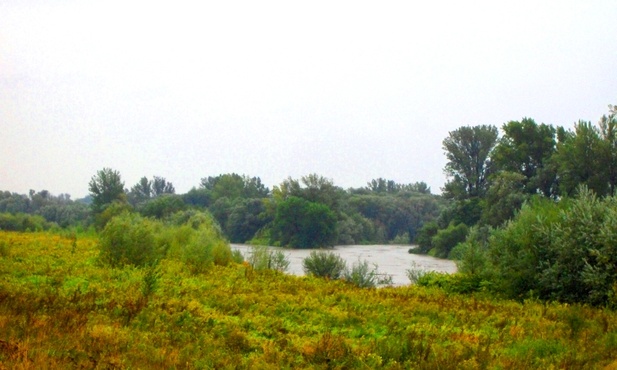 Taki jest Śląsk