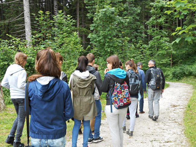 Z Dolomitów nad Adriatyk