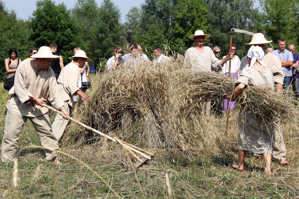 Obrzęd żniw w skansenie w Maurzycach