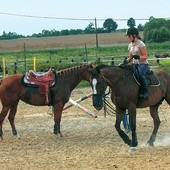 Ujeżdżalnia w stadninie Rancza „Leśna” państwa Poledników w Zabrzu