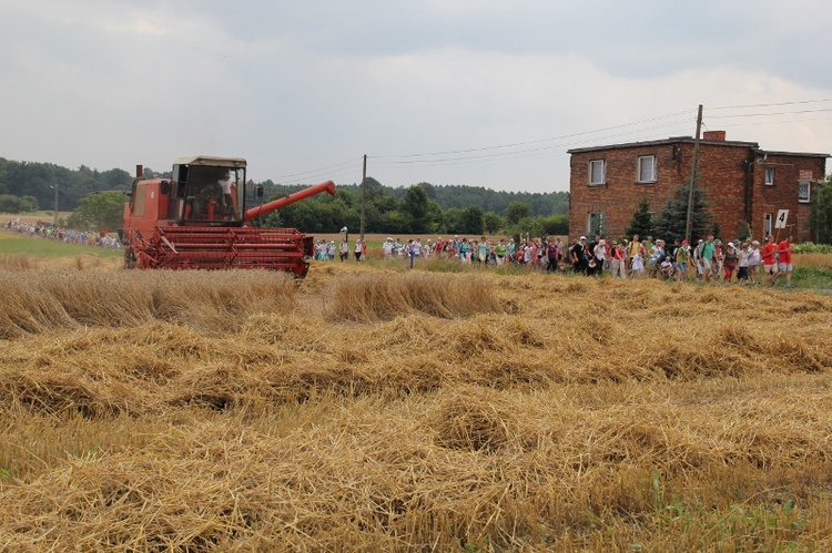 69. Pielgrzymka Rybnicka - dzień 1. - za Książenicami