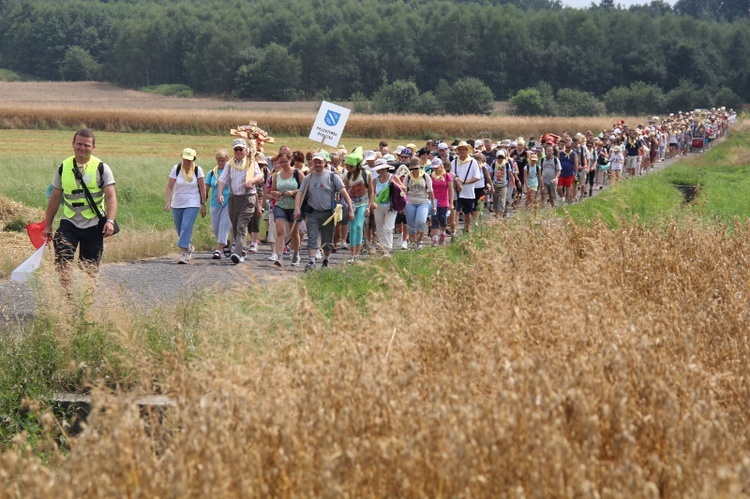 69. Pielgrzymka Rybnicka - dzień 1. - za Książenicami