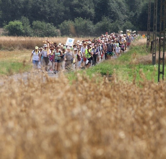 69. Pielgrzymka Rybnicka - dzień 1. - za Książenicami