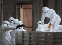 Ebola raczej nie grozi Europie i Polsce