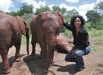 Dr Paula Kahumbu, dyrektor WildLife Direct Kenya, inicjatorka kampanii społecznej na rzecz ochrony dzikich słoni