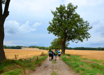 Liderzy ŚDM na Camino