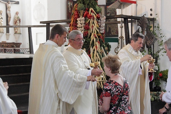 Święto Maryi i ojczyzny