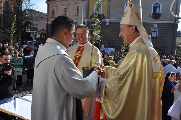 Grusze Karoliny