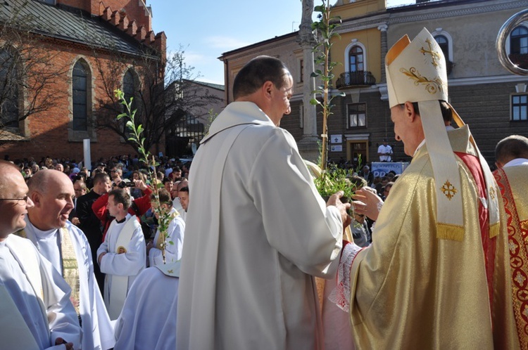 Grusze Karoliny