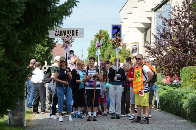 Strumień opolski wystartował