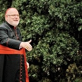  Kardynał Reinhard Marx