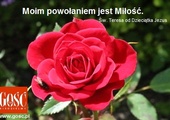 Moim powołaniem jest Miłość