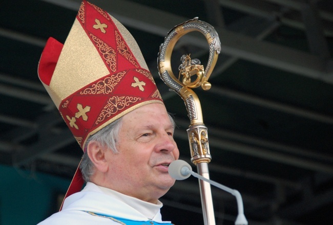 Pielgrzymka Służby Liturgicznej i Ruchu Światło-Życie