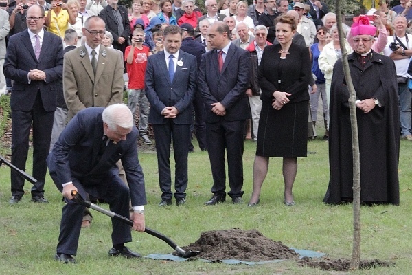 Dąb Wolności w Gdansku