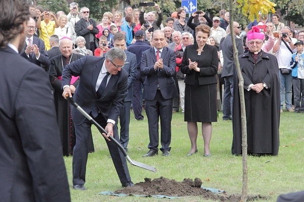 Dąb Wolności w Gdansku