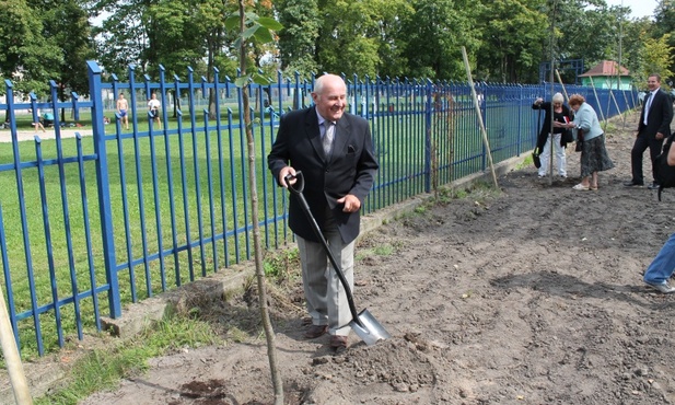 Wzdłuż pasażu zasadzono 15 drzew