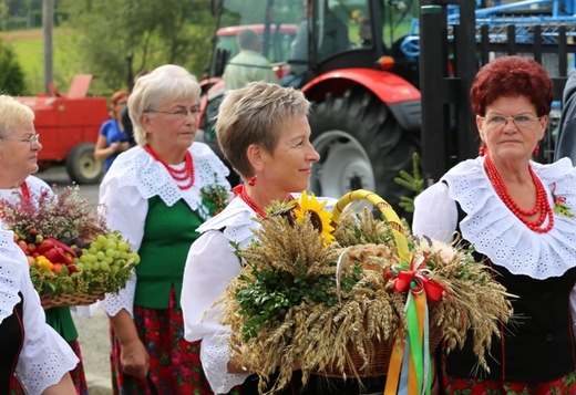 Diecezjalne dożynki w Czańcu