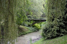 Ogród Botaniczny