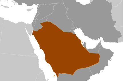 Arabia Saudyjska: aresztowano chrześcijan