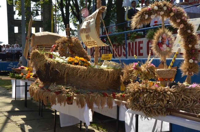 Uroczystość dożynkowe w Janowie Lubelskim