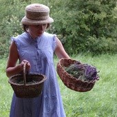 Lawendowe siedlisko pod Chełmem już dziś wzbudza wielki entuzjazm turystów. 