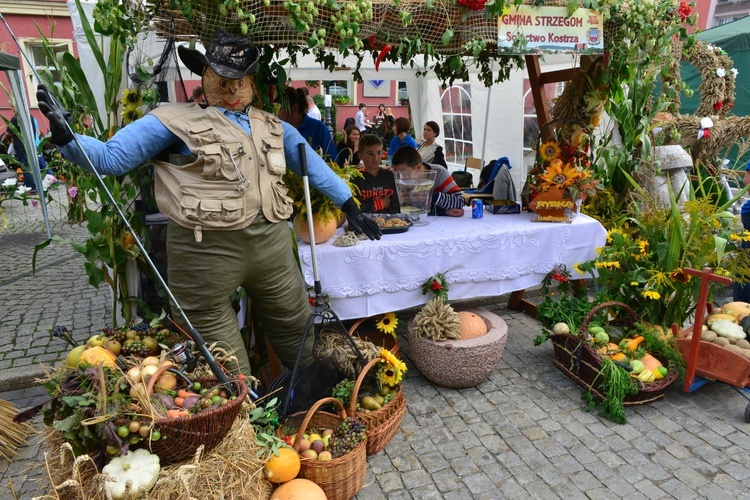 Dożynki w Strzegomiu