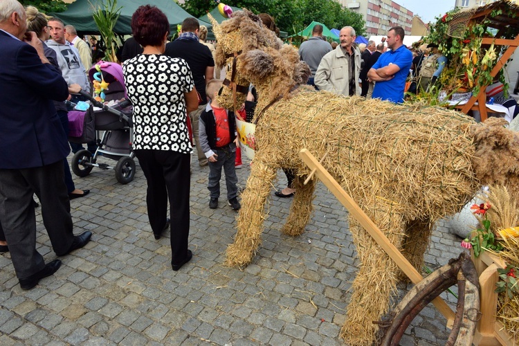 Dożynki w Strzegomiu