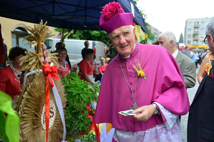 Dożynki w Strzegomiu