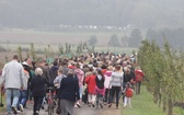 Skarb Lasu Mnichów