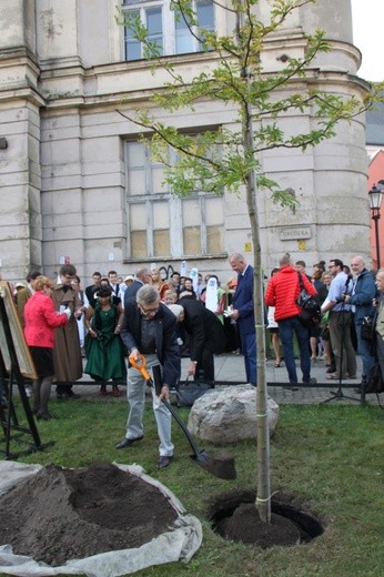 Hrabia ma we Wrocławiu ulicę i drzewo