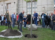 Hrabia ma we Wrocławiu ulicę i drzewo