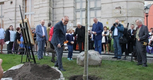 Hrabia ma we Wrocławiu ulicę i drzewo