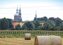 Charakterystyczne wieże  Szprotawy już z oddali zwracają uwagę podróżnych