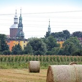 Charakterystyczne wieże  Szprotawy już z oddali zwracają uwagę podróżnych