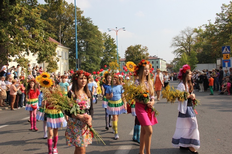 Skierniewickie Corso 2014