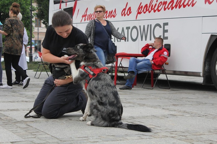 Maltański Dzień Promocji Zdrowia w Kętach