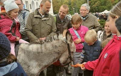 Święto świętego ekologa 