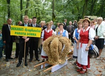 Cuda z ziarenek i kłosów