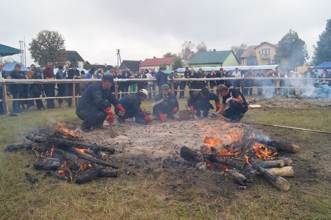 Ziemniaki pieczono w olbrzymim ognisku